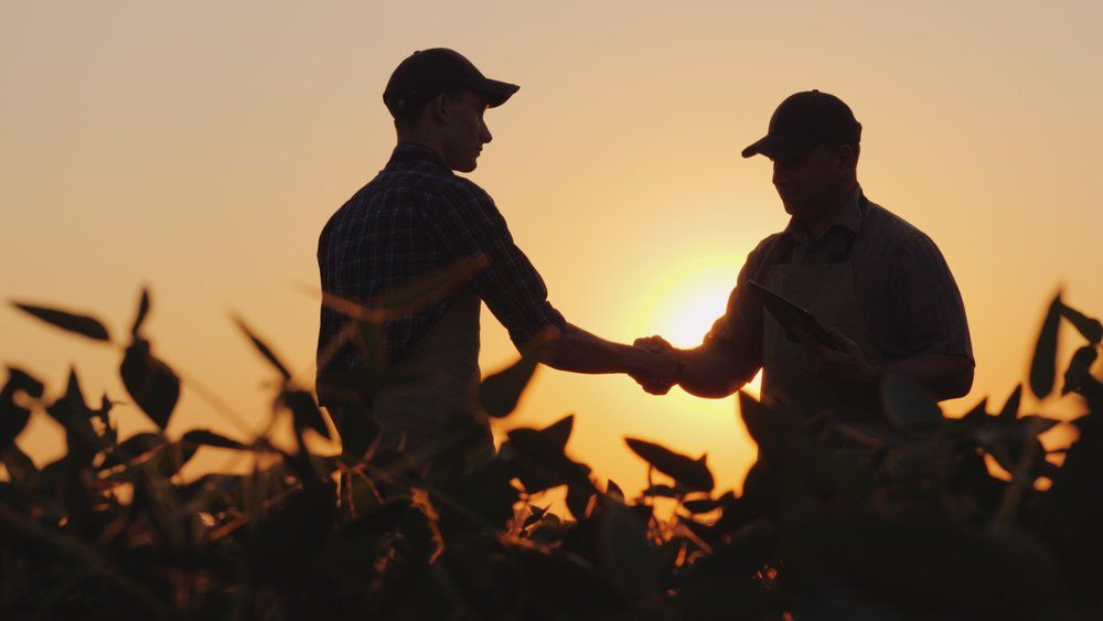 Silhouette Of Two Farmers Shaking Hands — Insurance Services in Rockhampton, QLD