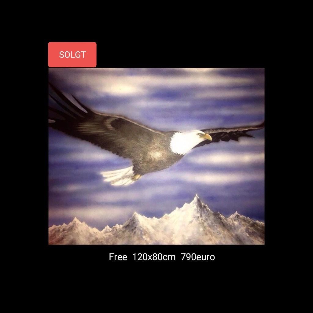 A painting of an eagle flying over mountains is for sale for 790 euros