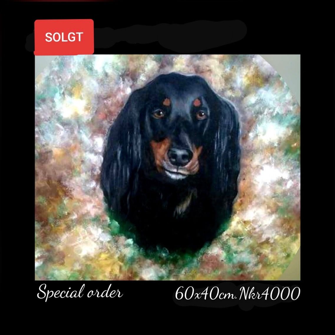 A painting of a dachshund with a special order label