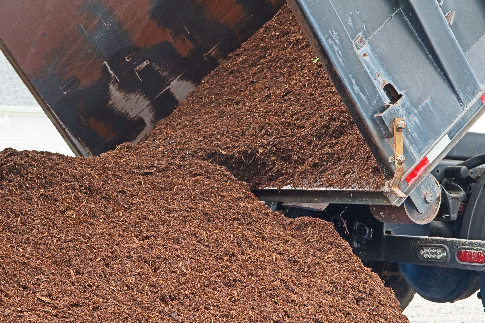 A dump truck unloading a substantial amount of mulch or wood chips, commonly employed for landscaping purposes as top-ground material and decorative accents.