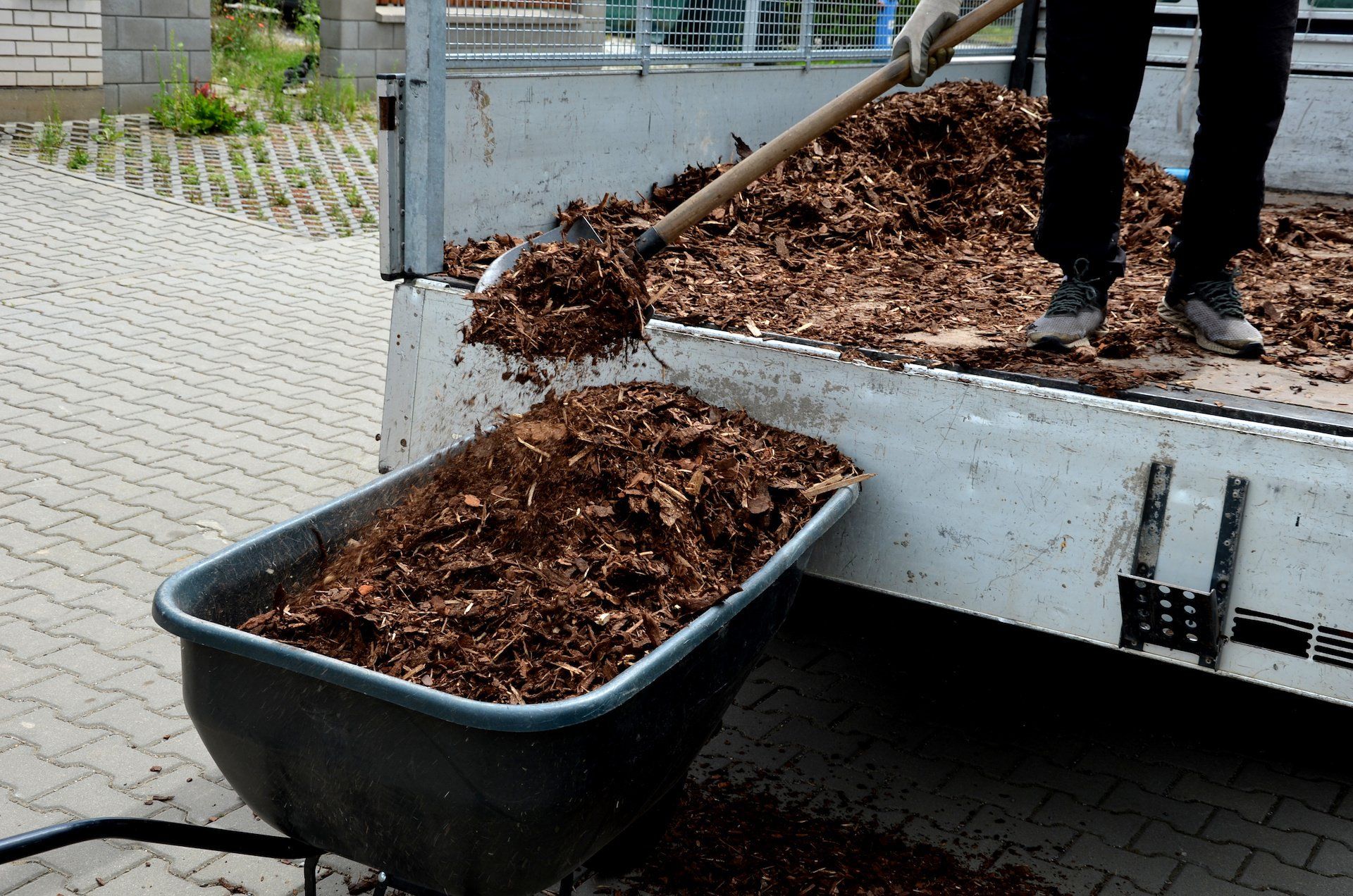 A dump truck unloads a substantial load of mulch, a person transfers it into a small wheelbarrow.