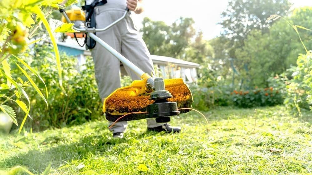 A man is using a lawn mower to cut the grass in a garden.