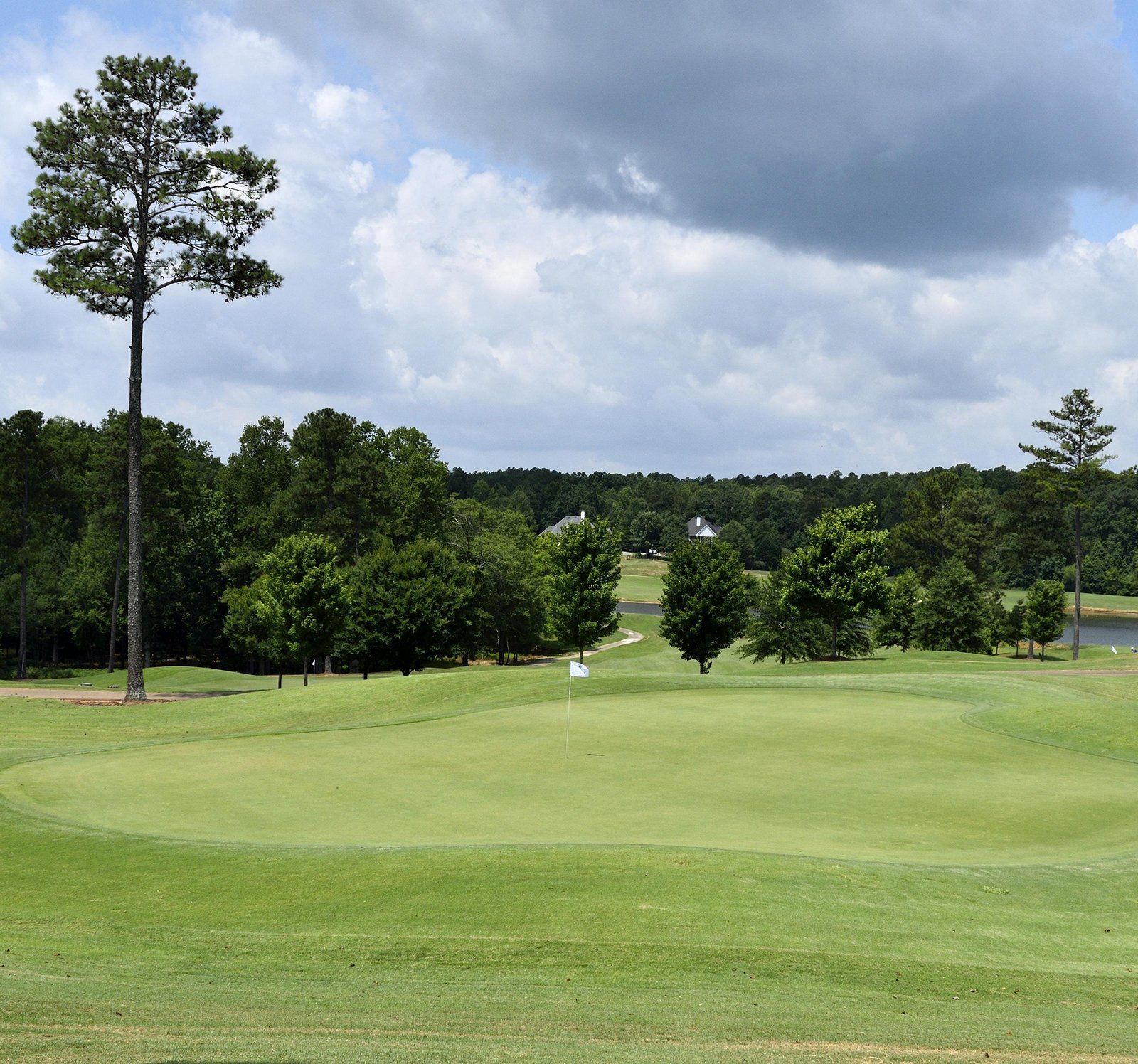 Lush green golf course with manicured fairways, surrounded by tall trees and under a clear blue sky.