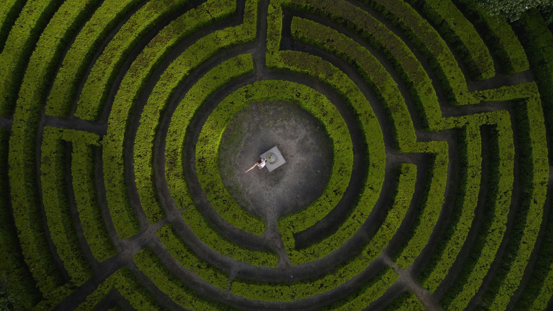 Aerial view of a circular hedge maze, a person is in the center on a white square.