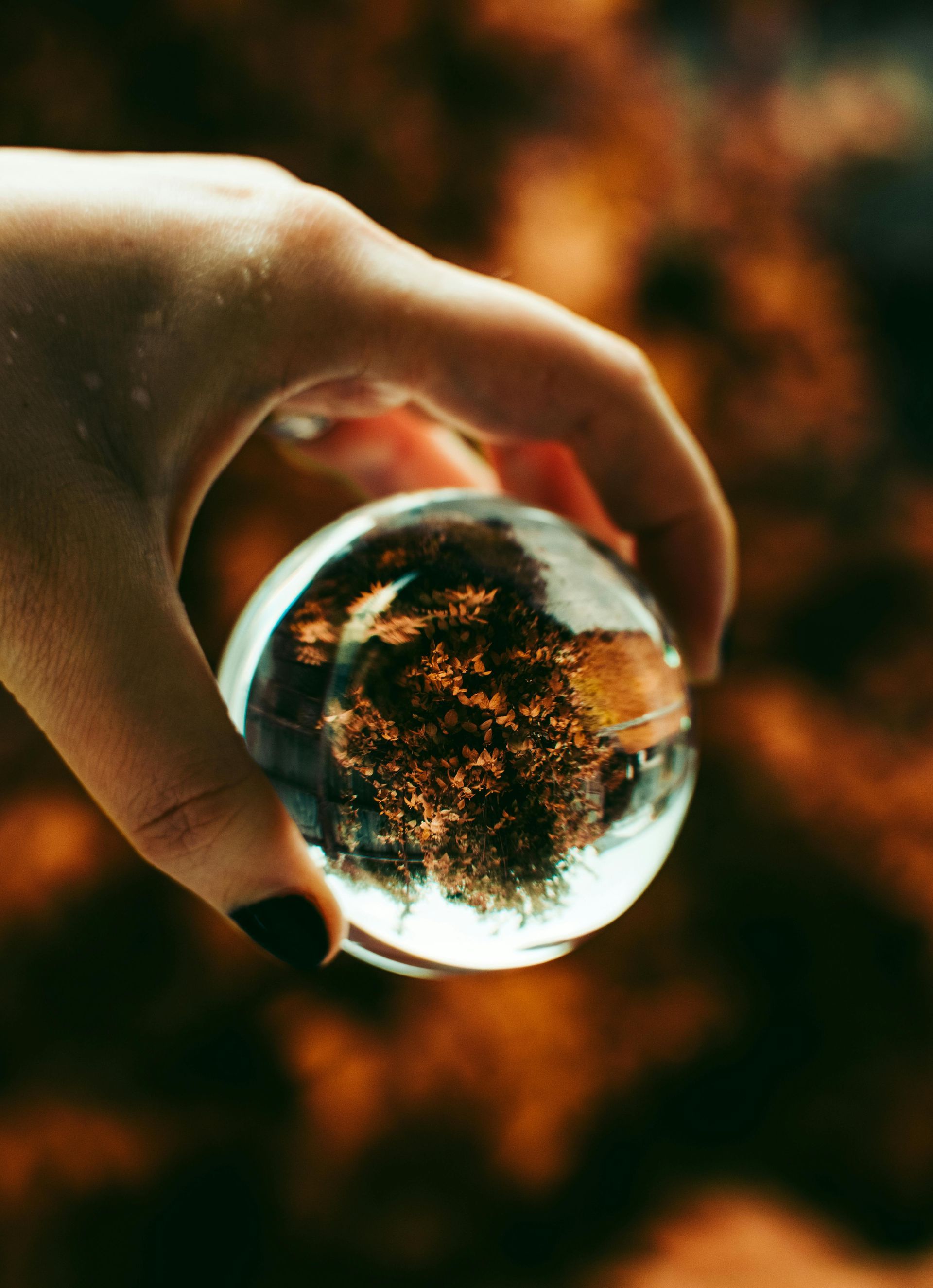 Hand holding a clear crystal ball, reflecting a blurred brown and orange natural scene.