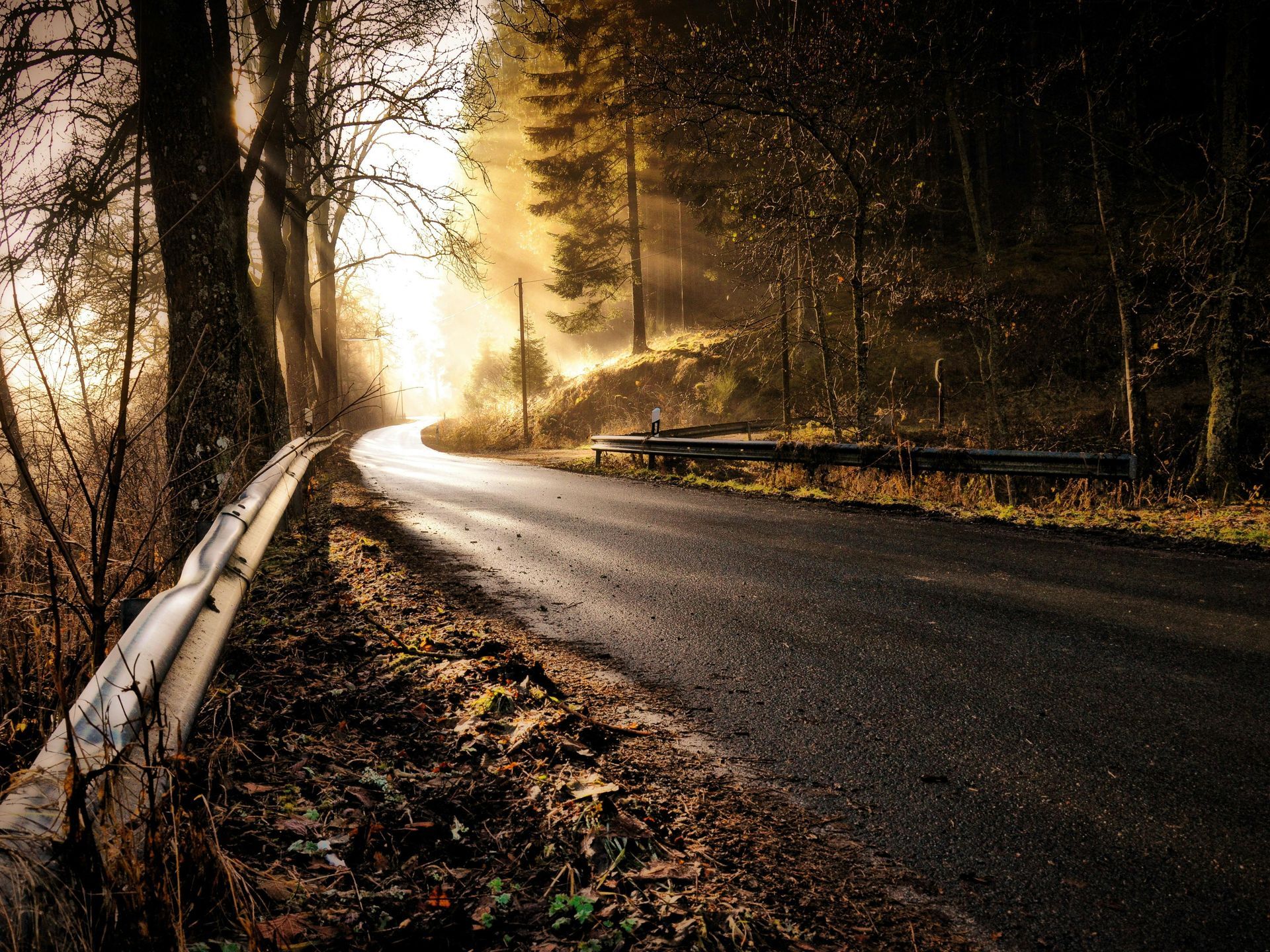 Road curves through a forest, bathed in golden sunlight. Metal guardrail on left.