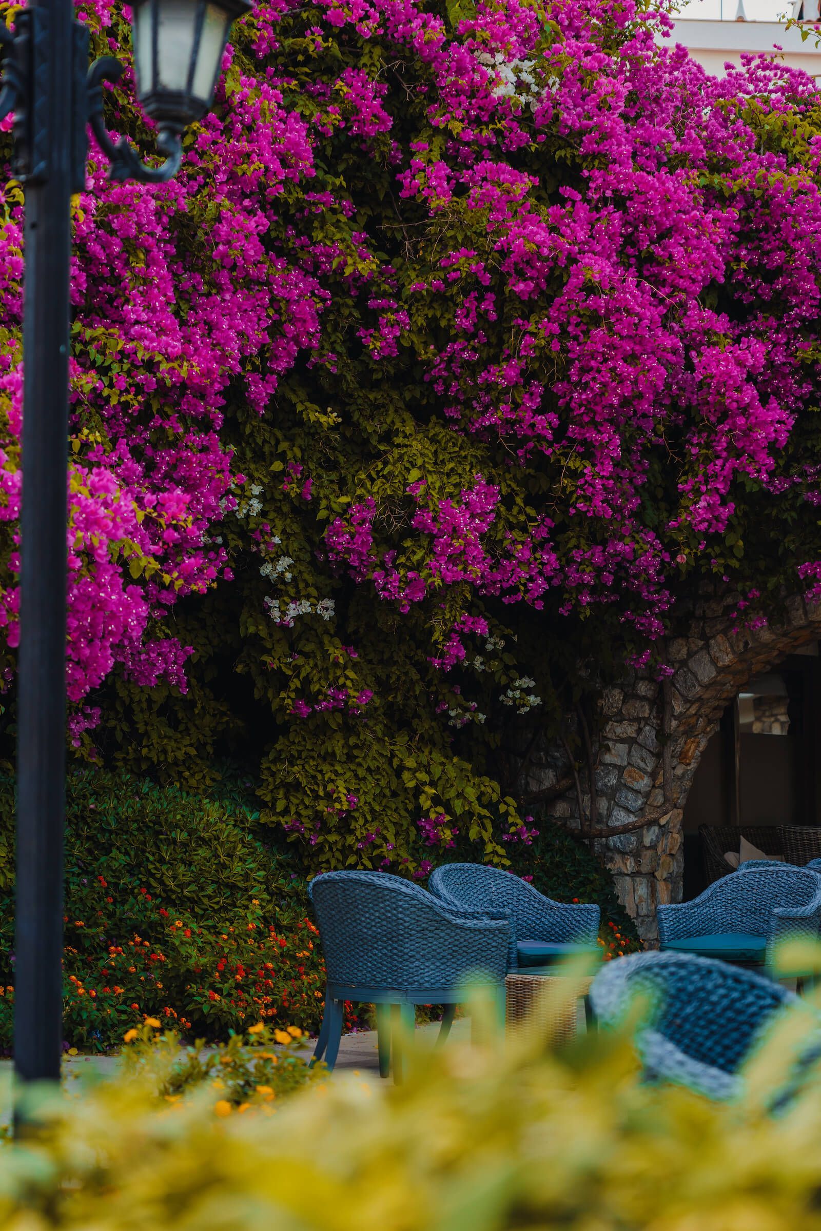 Martı Resort Marmaris