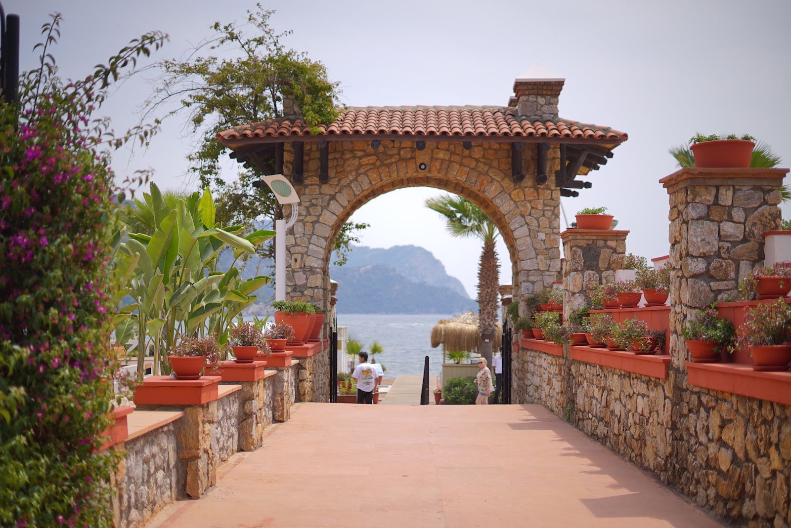 Marti Hotels & Marinas News