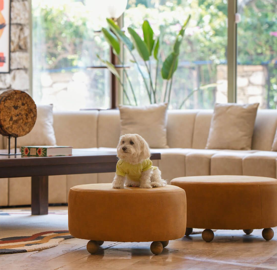 Martı La Perla Marmaris