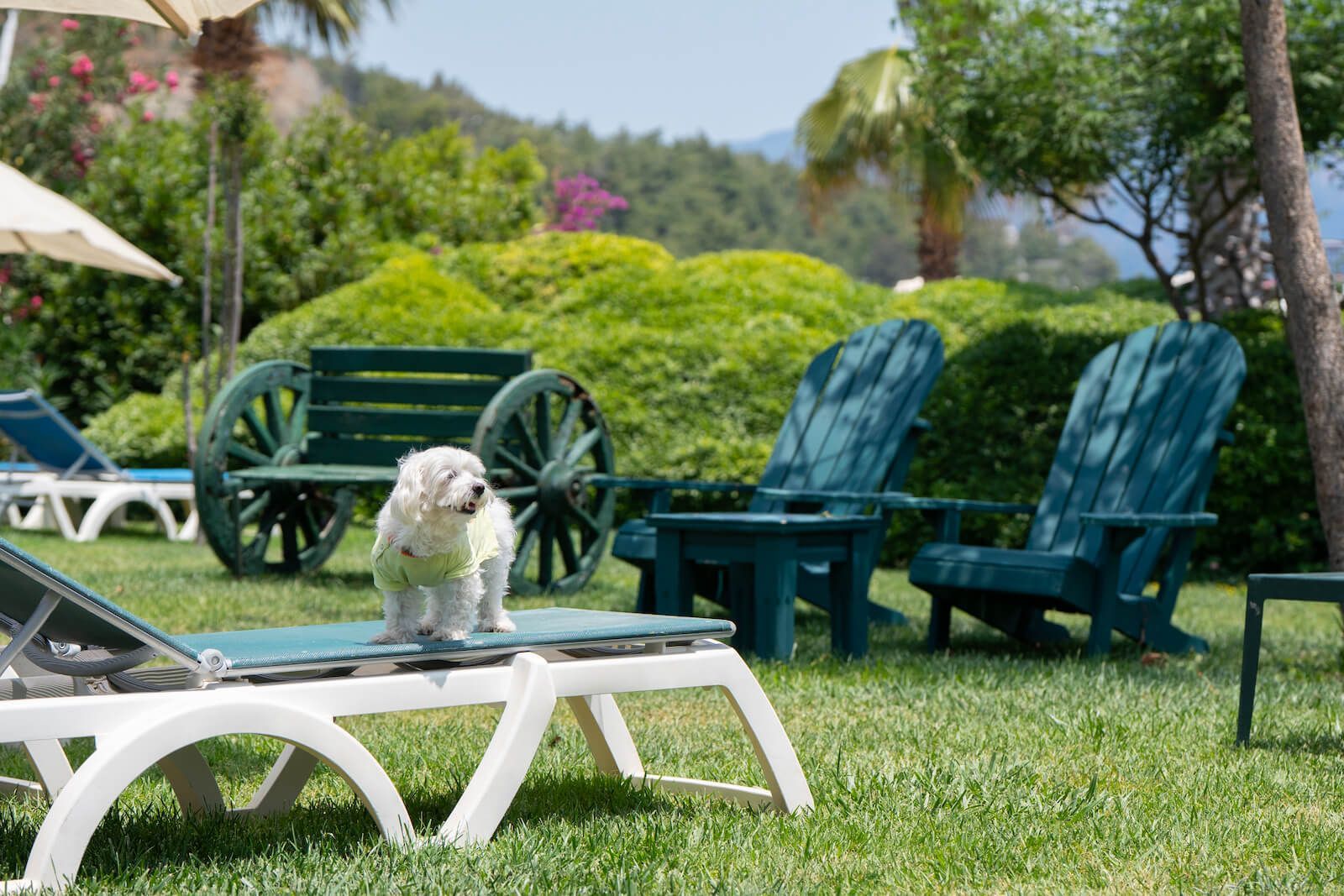 Martı Hotels & Marinas