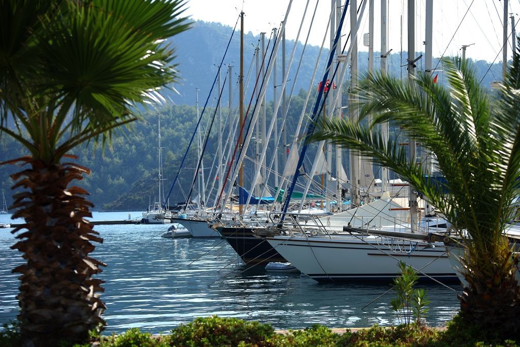 Marti Hotels & Marinas News