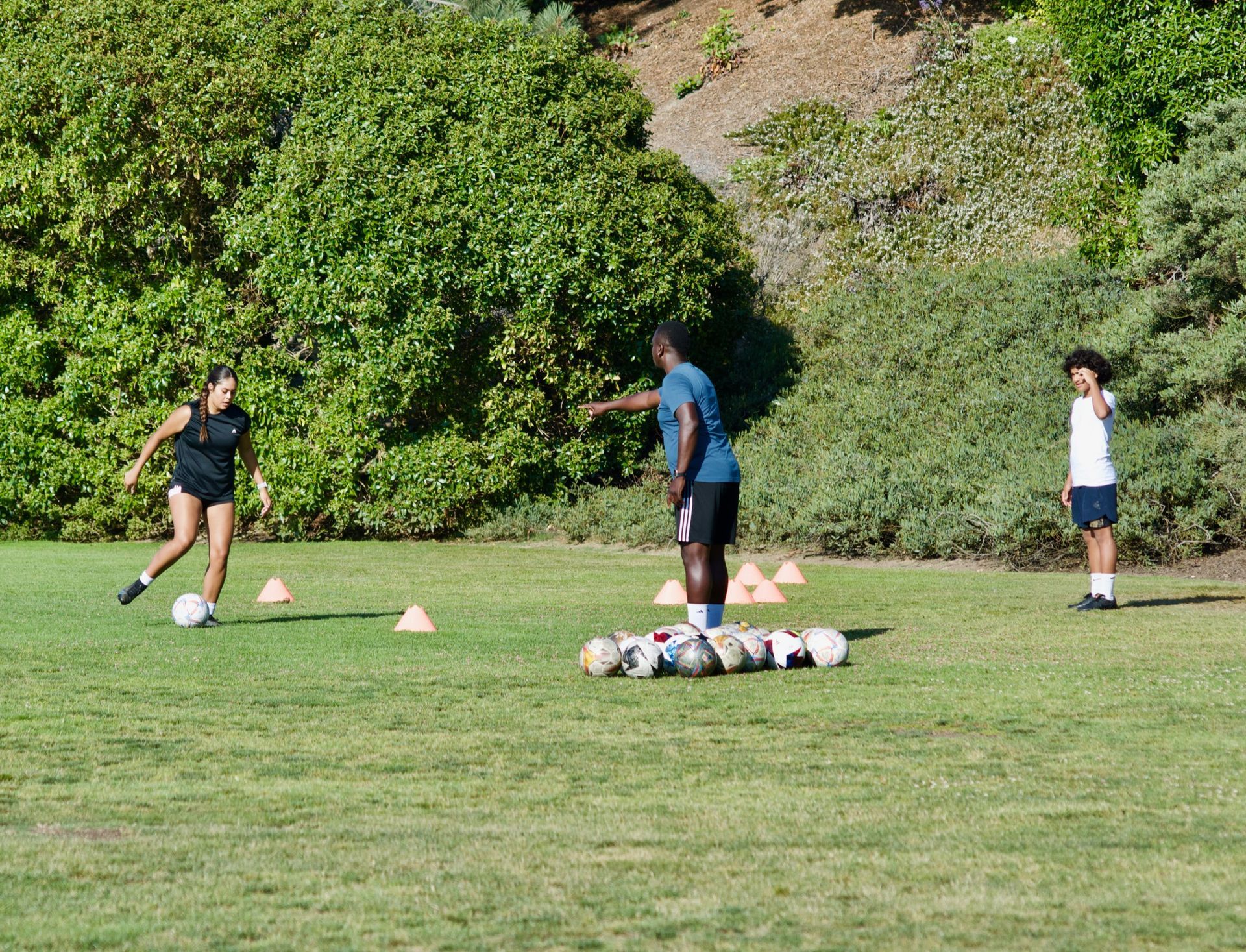 Children practicing soccer drills on a grassy field with cones and a pile of balls, trees in the background