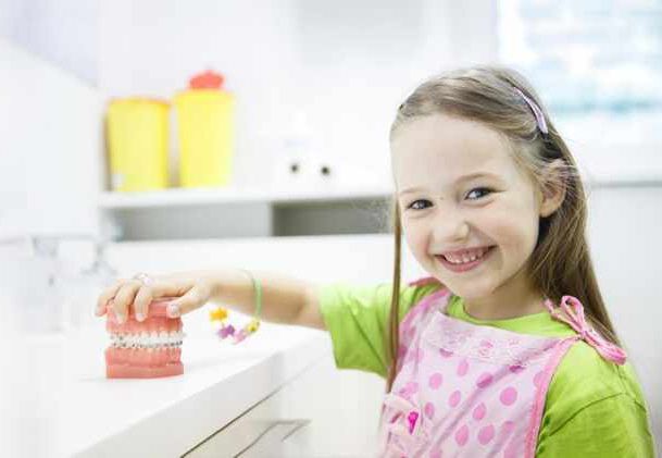 Una niña sonríe mientras sostiene un modelo de dientes.