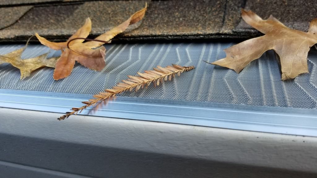 A close up of a gutter with leaves on it