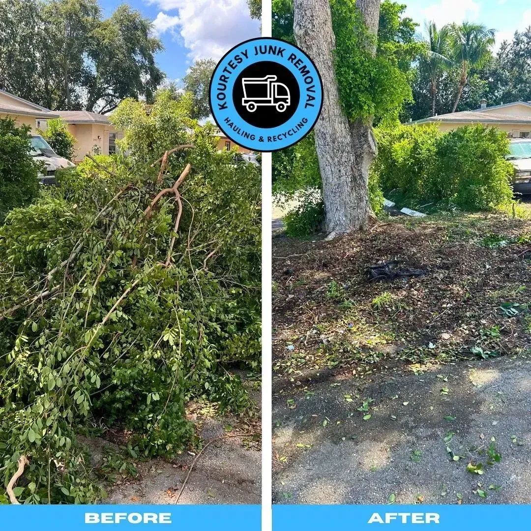 A before and after picture of a tree being removed from a yard.