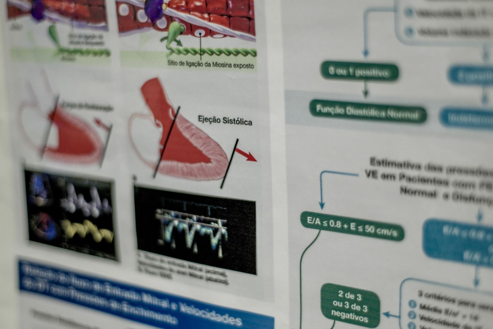 Cursos eletrocardiograma POCUS Point of care