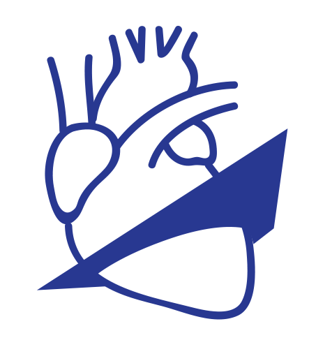 Ecocardiograma do Coração (Bidimensional, Doppler Colorido, Strain, avaliação de função e válvulas)