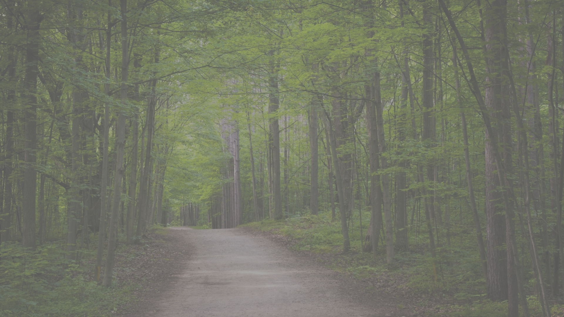 Dowload area for Walks