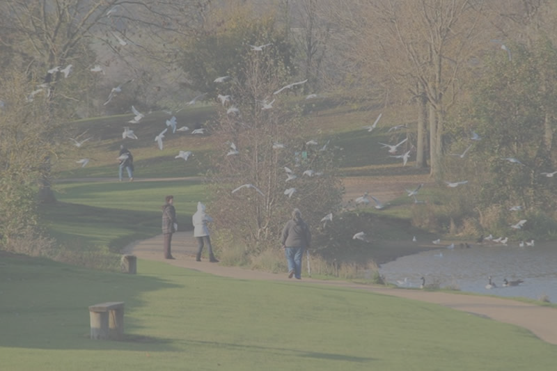 Nene Park - Ferry Meadows