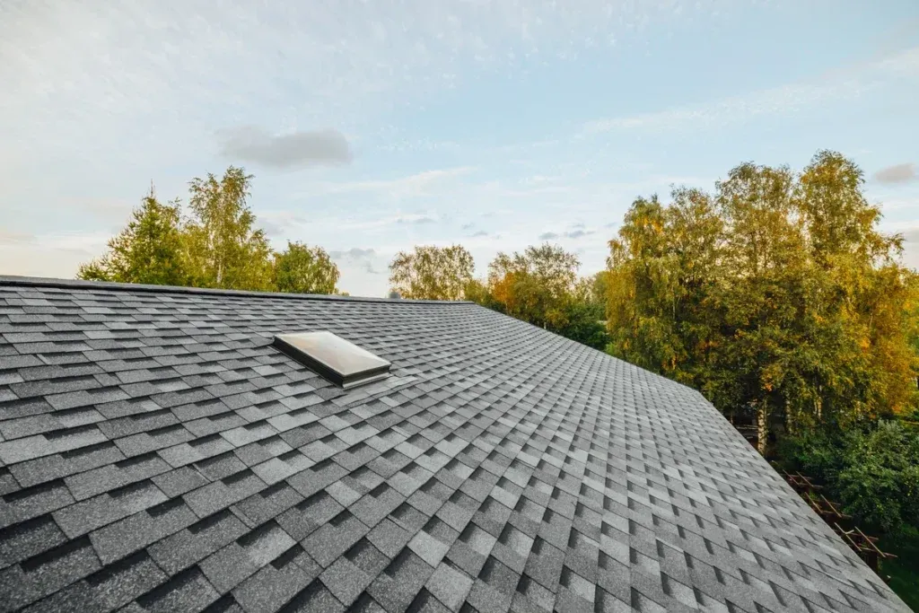 Gray shingled roof with a skylight, framed by green trees under a clear sky