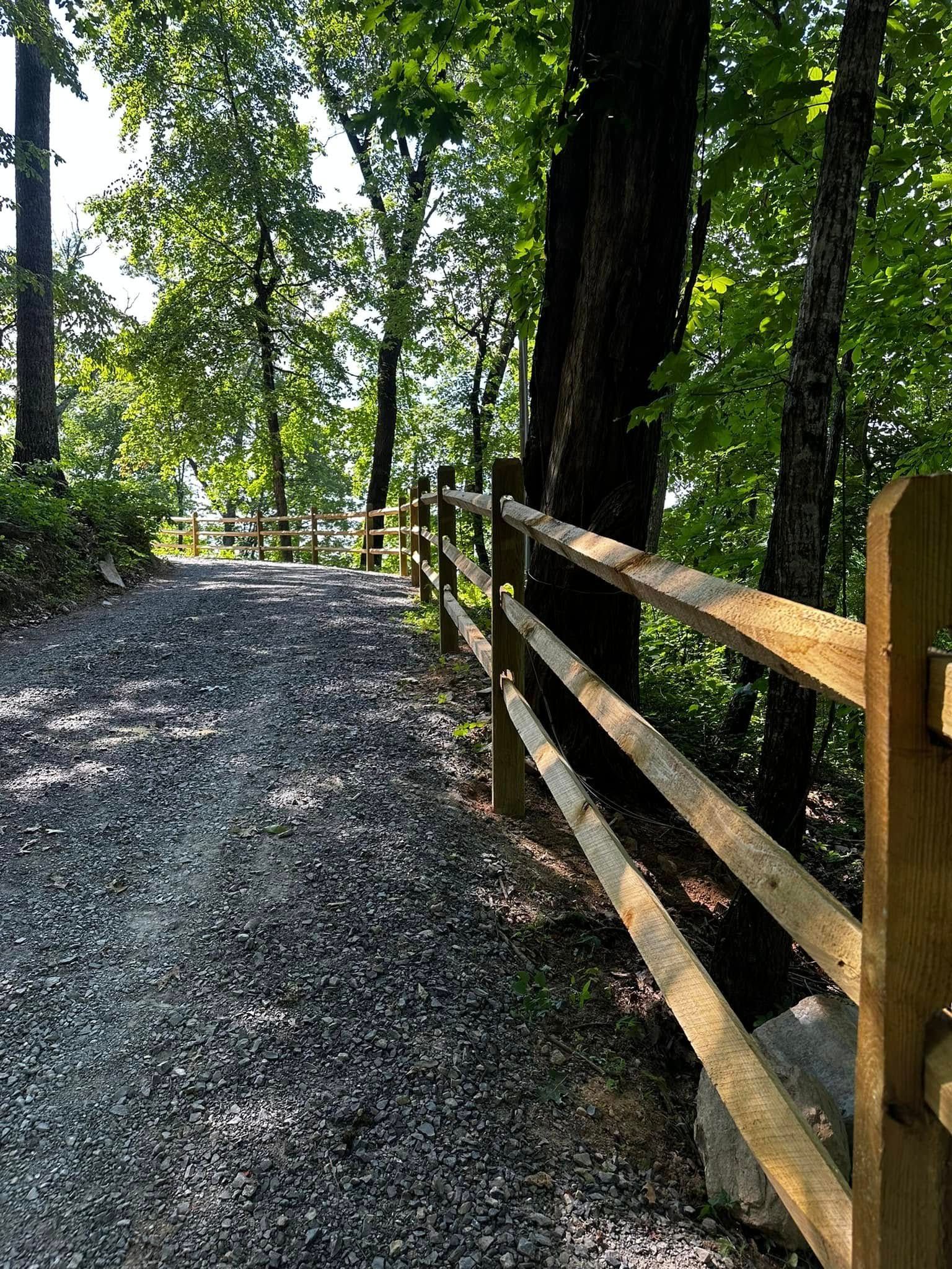 Gravel path with wooden fence through a sunlit forest.