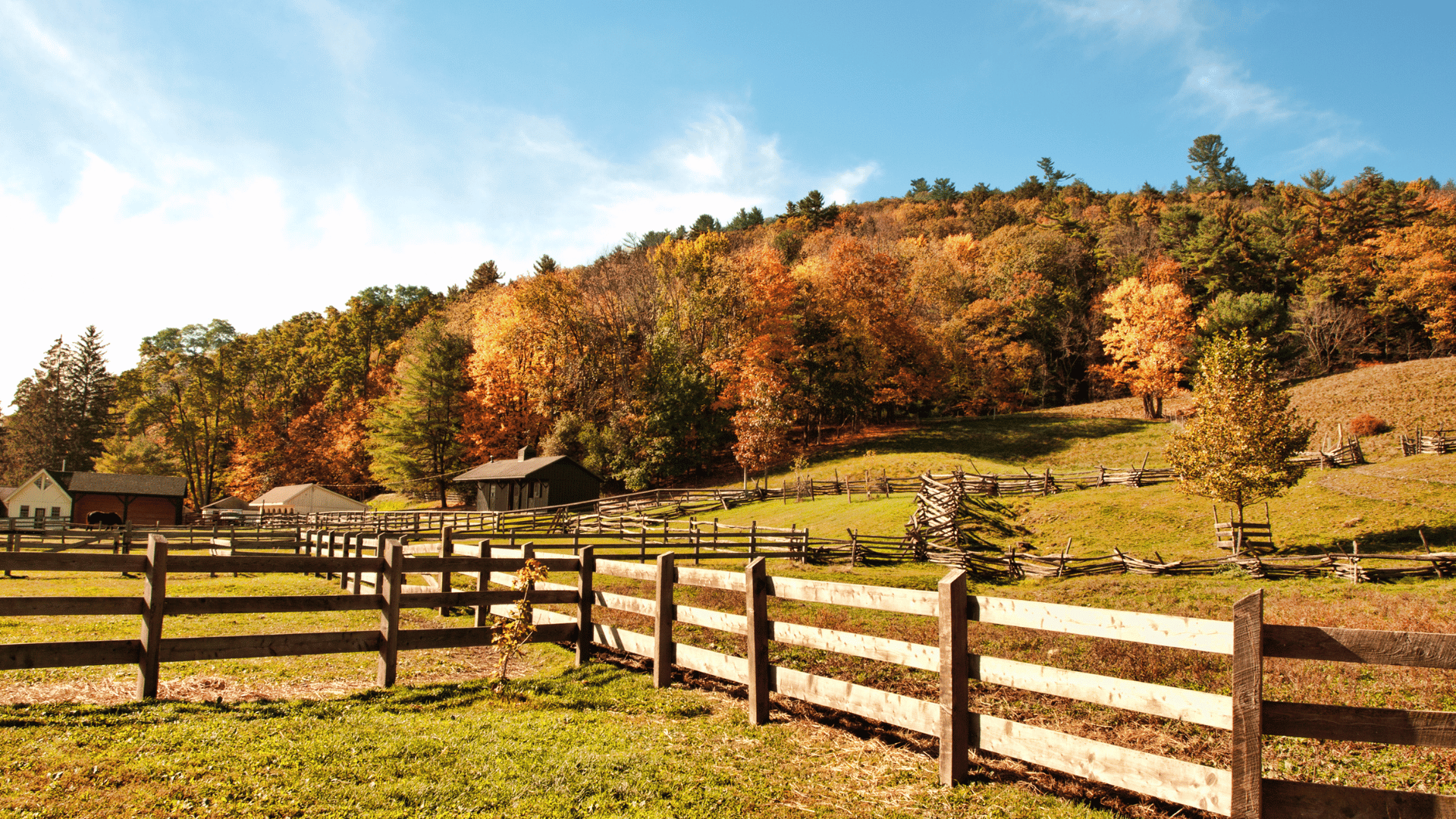 Livestock fence , autumn trees on a hillside, under a blue sky.