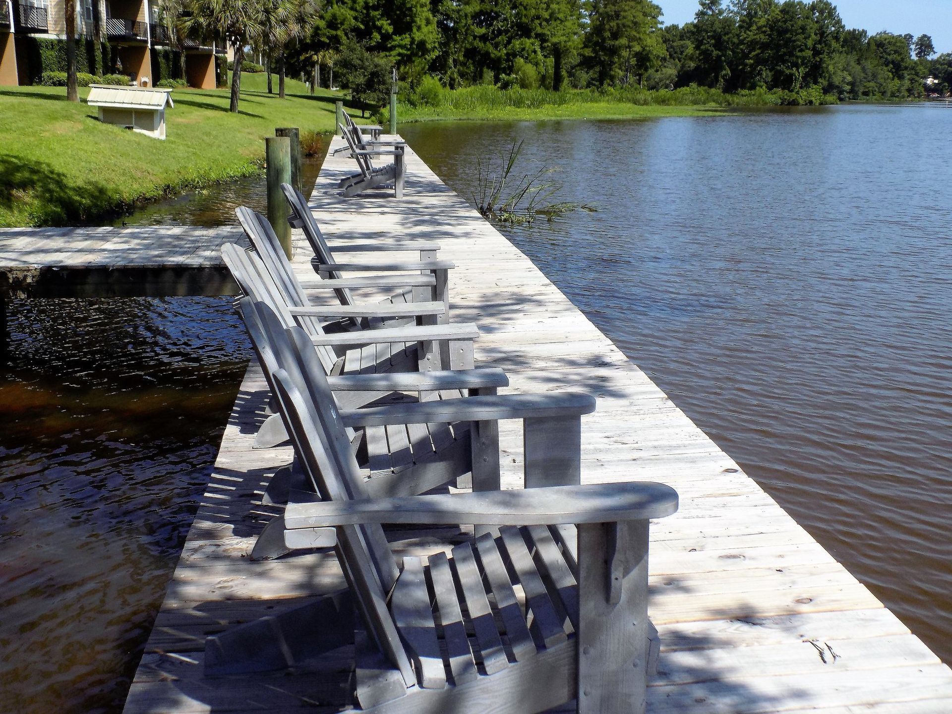 A row of chairs on a dock overlooking a lake