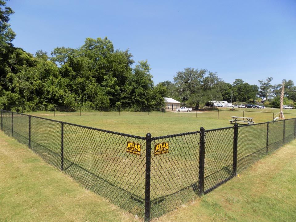 black chain link fence surrounds a grassy field