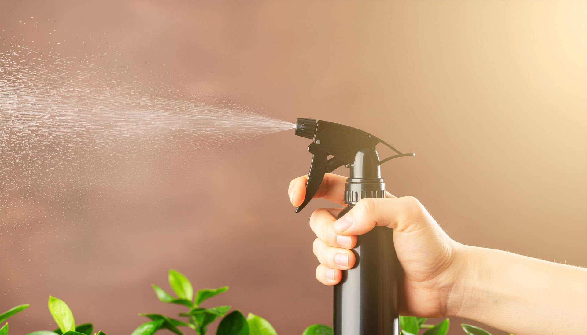 Hand spraying water from a black spray bottle onto green leaves, against a brown backdrop.