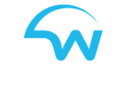 DW Automotive Details logo