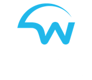 DW Automotive Details logo