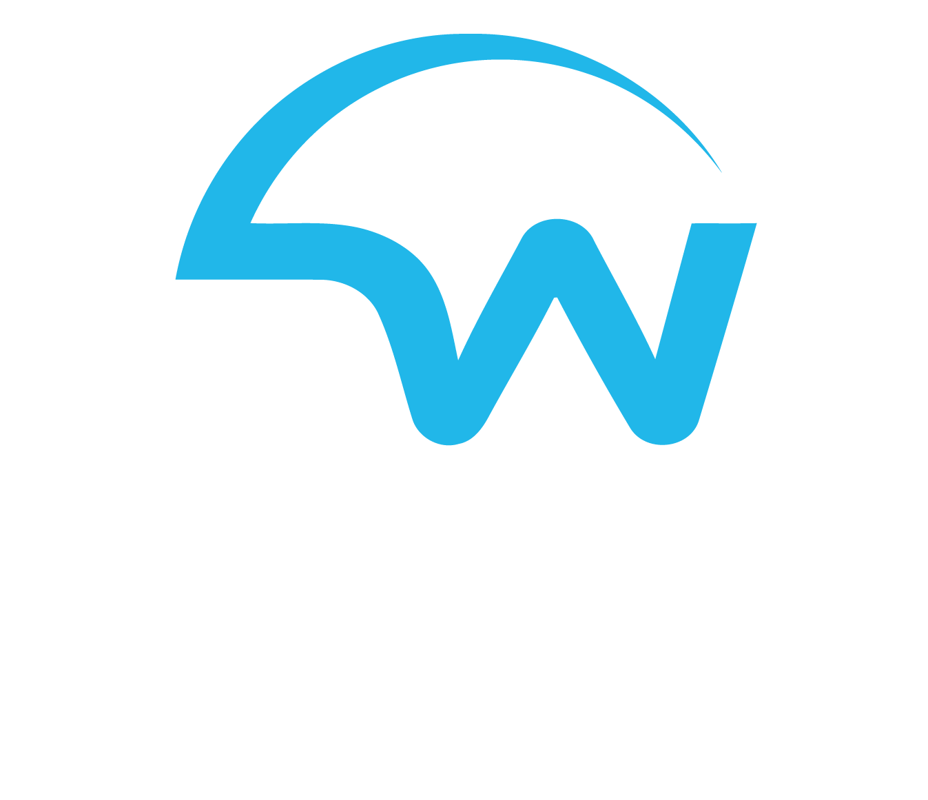 DW Automotive Details logo