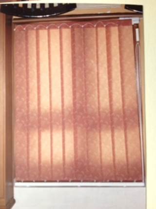 Pleated blinds