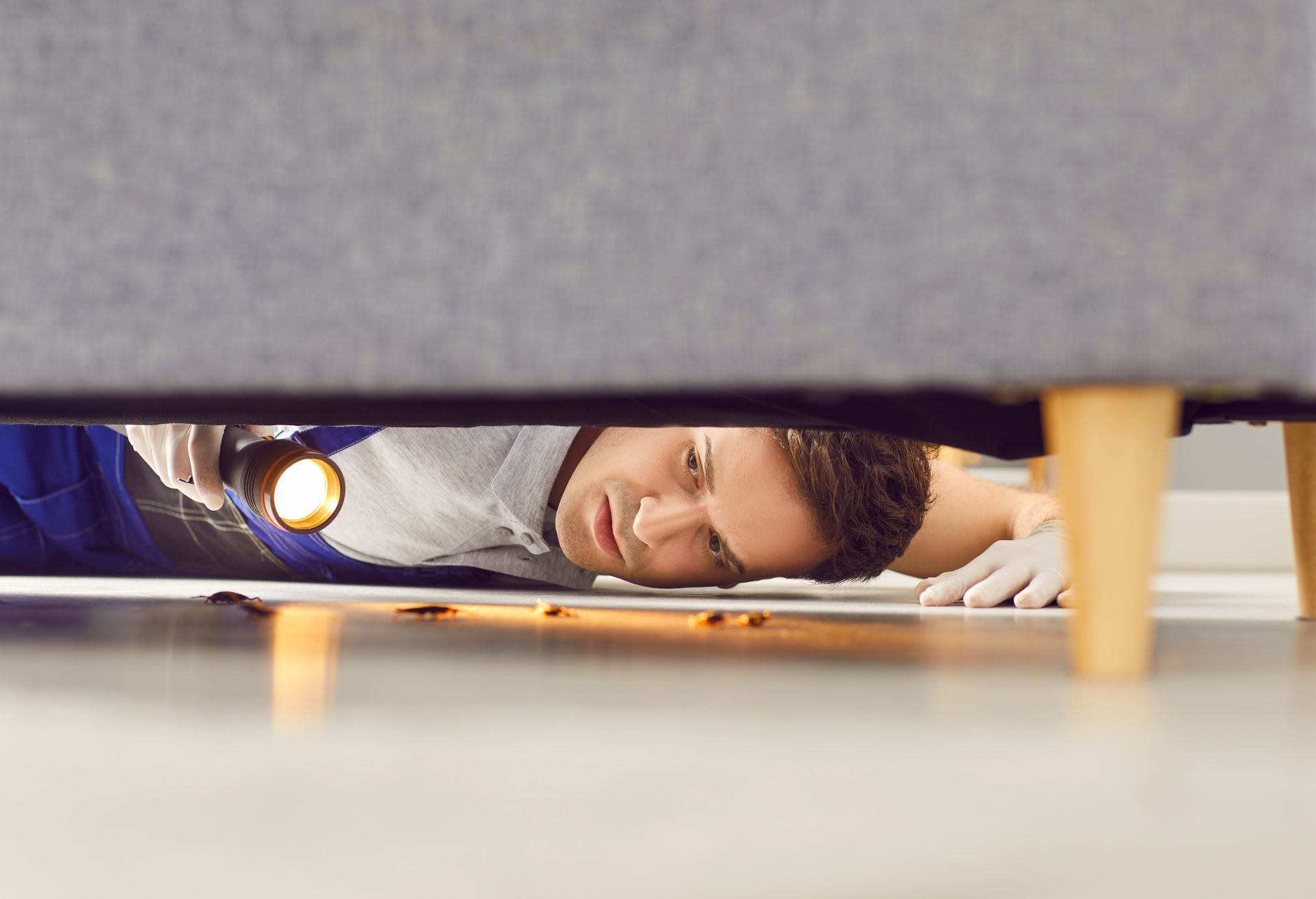 Person examines floor under couch with flashlight; wearing gloves.