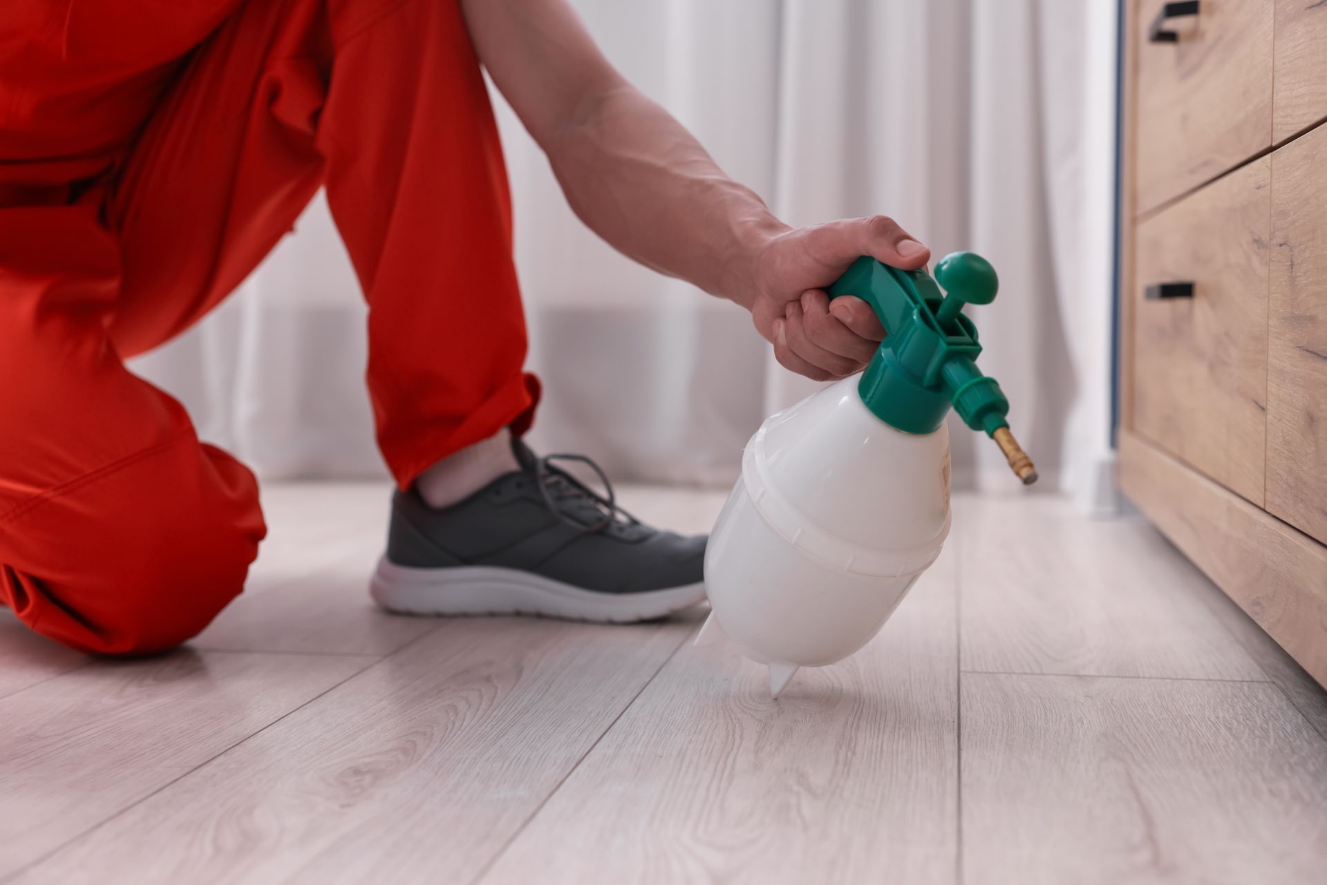 Person spraying pest control in a room. Red pants, gray shoes, and a white and green sprayer.