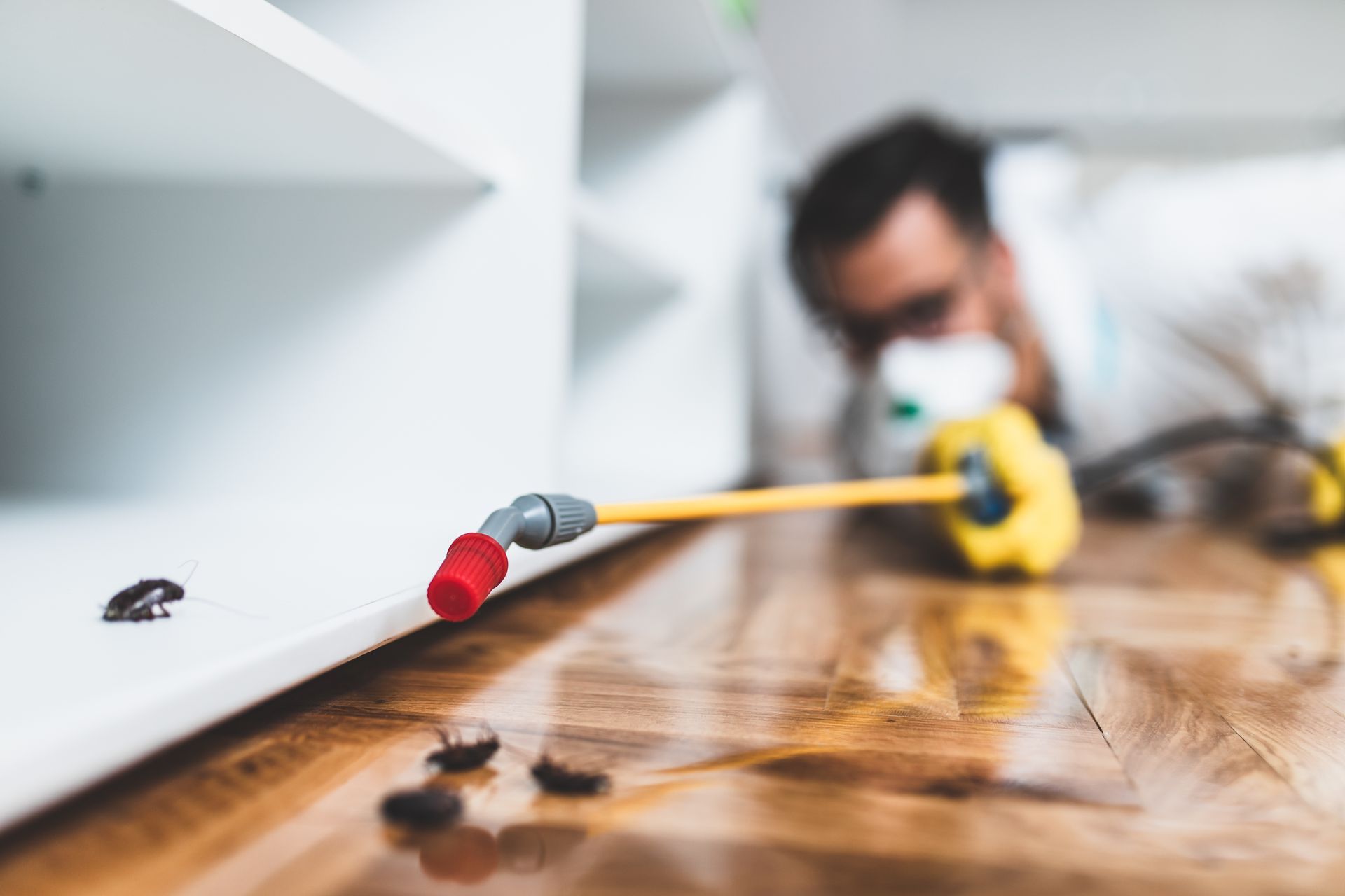Pest control worker spraying insecticide on floor near cockroaches in a cabinet.