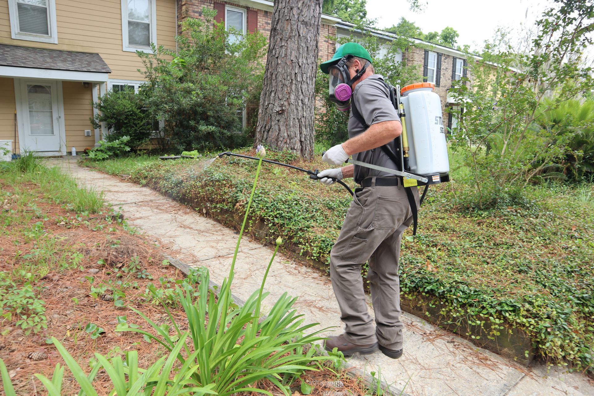 A person in a respirator and backpack sprayer treats a garden bed next to a sidewalk and residential home.