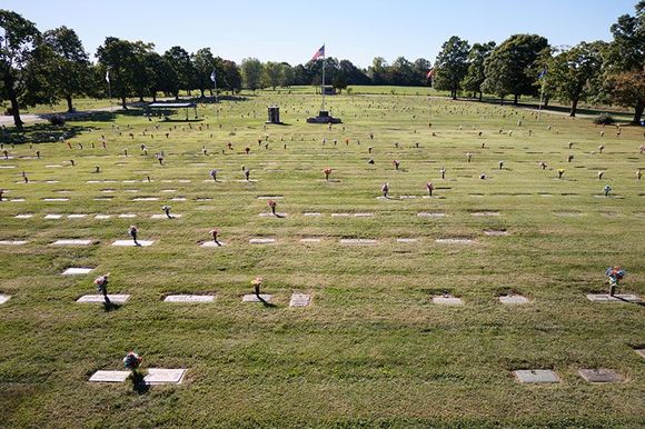 a cemetery with a flag in the middle of it