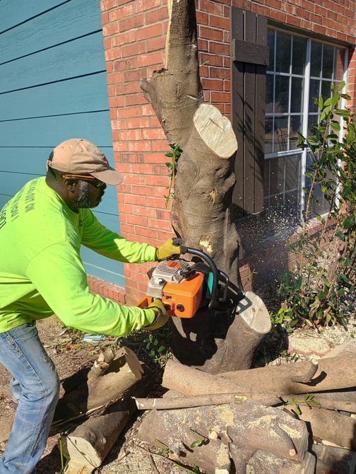 A man is cutting a tree with a chainsaw in front of a brick building.