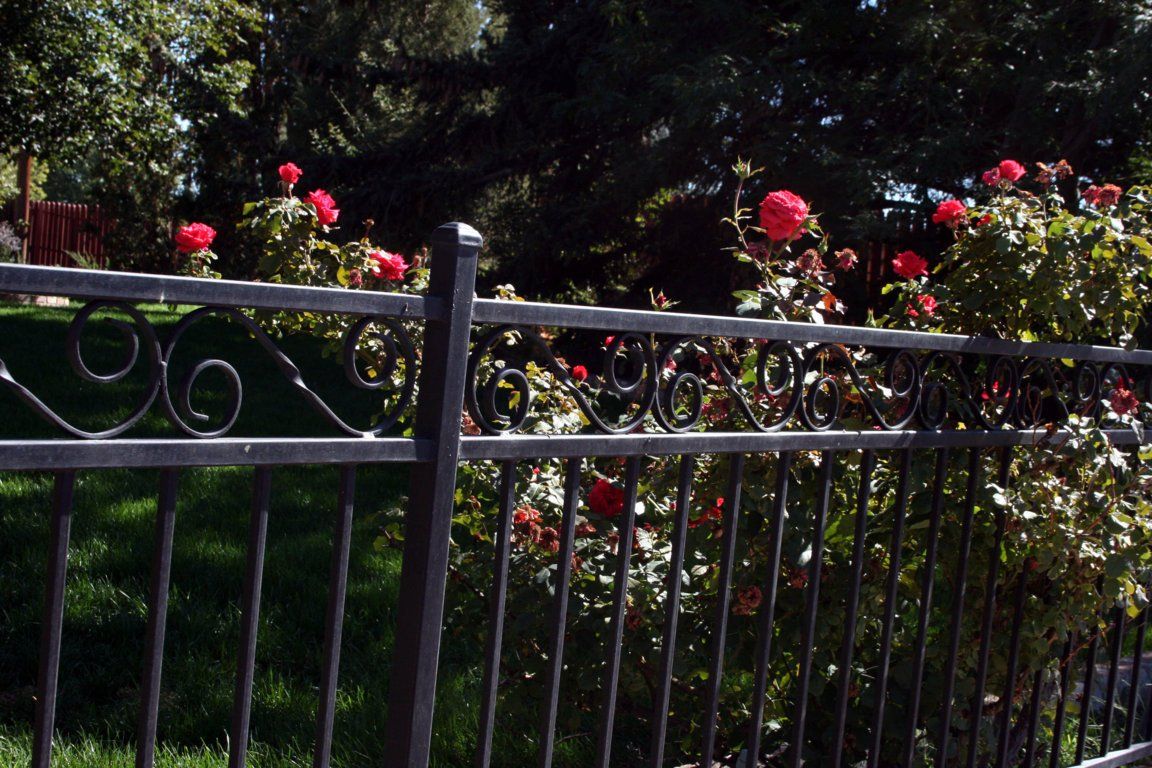 Iron Fence — Sparks, NV — Tholl Fence, Inc.