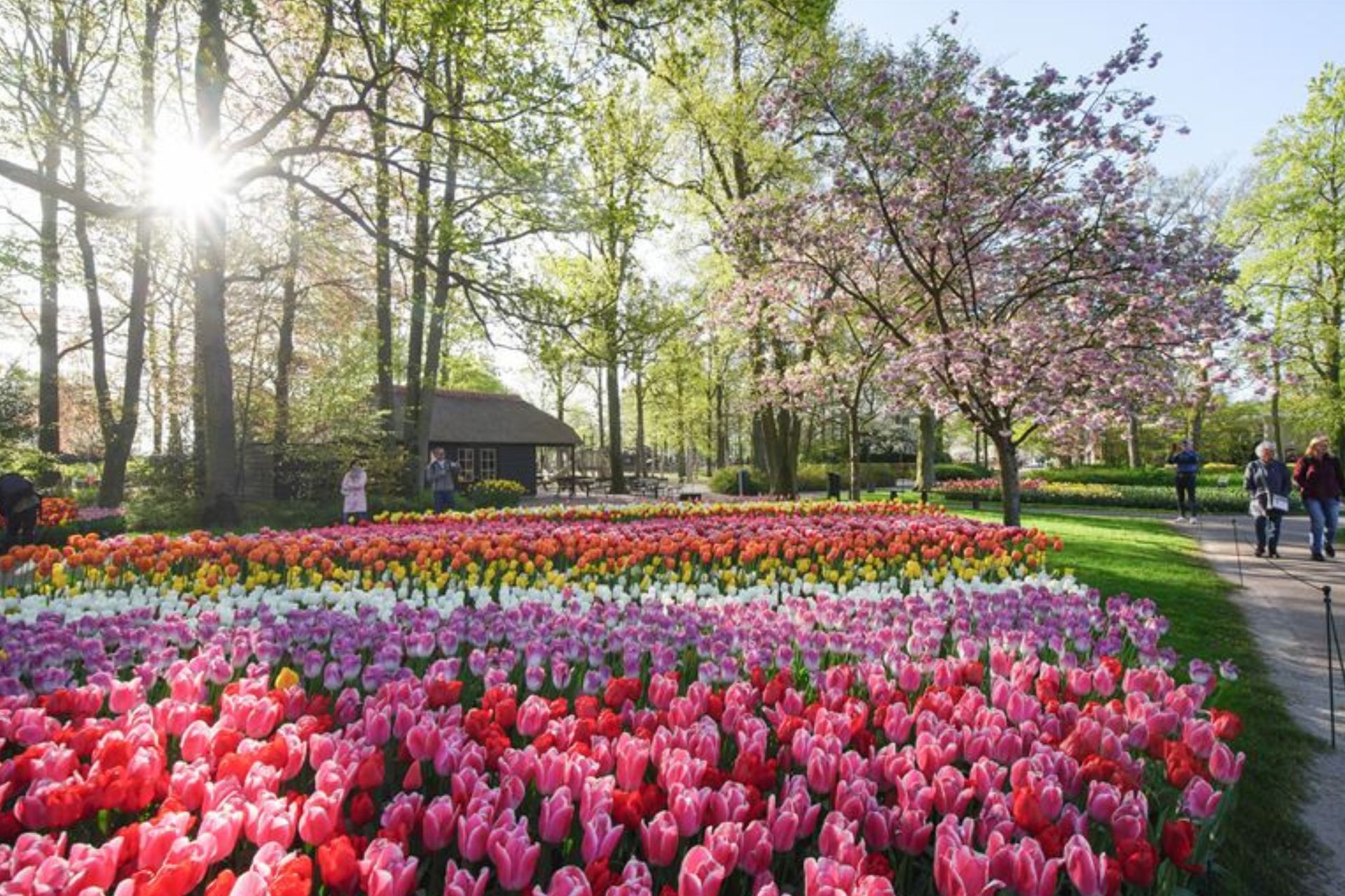 Spring into Spring on a Jones Holiday