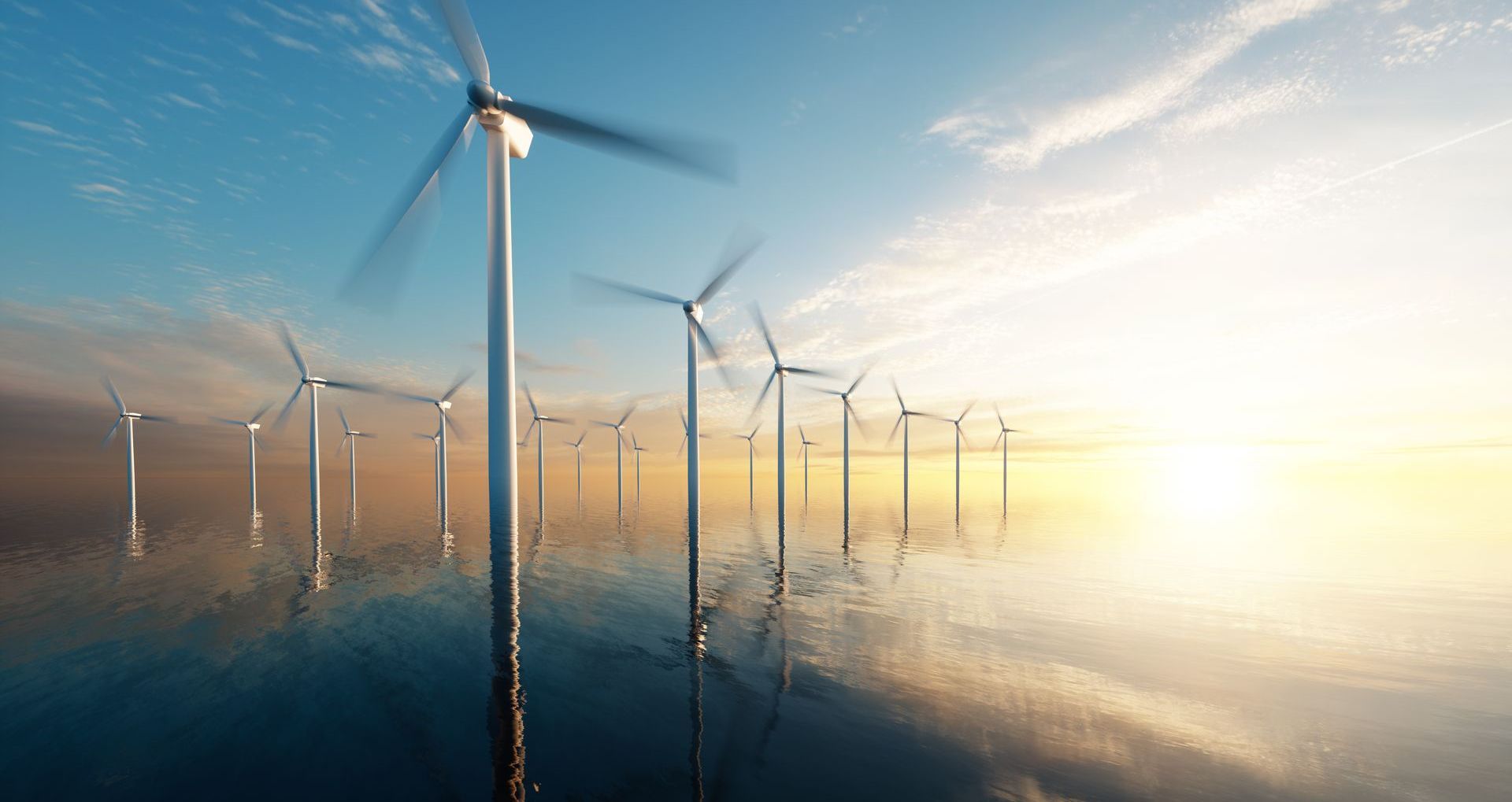 Environment Community