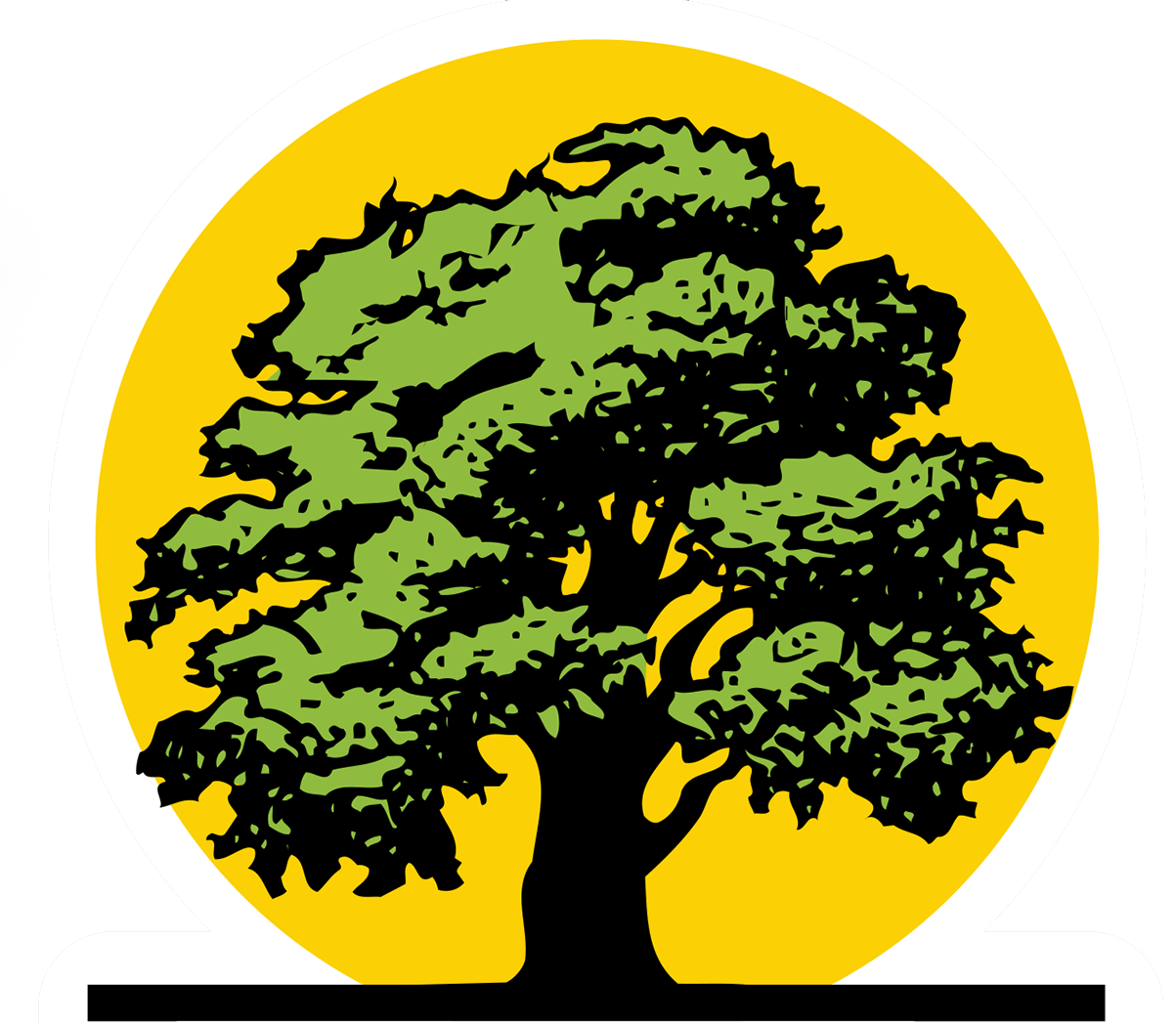 Buena Vista Tree Service - Emergency Tree Services