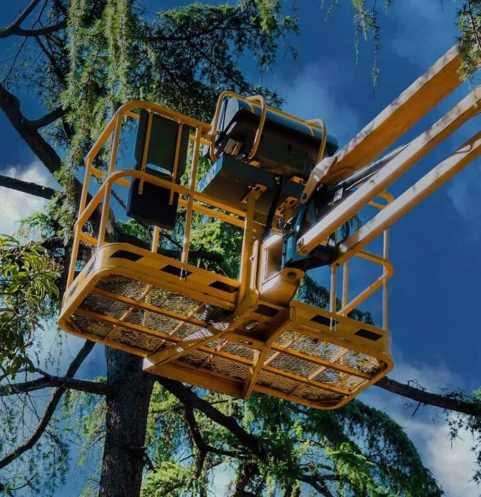 Number 1 best commercial tree service