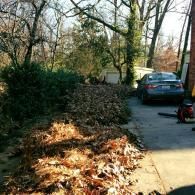 A driveway lined with piles of fallen brown leaves on a sunny day, with a gray car parked in the background.