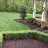 A manicured garden with a green lawn, dark mulch beds, trimmed hedges, and a small tree near a white-pillared porch.