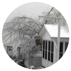 A snow-covered house and trees coated in ice under a winter sky, with a hanging bird feeder in the foreground.