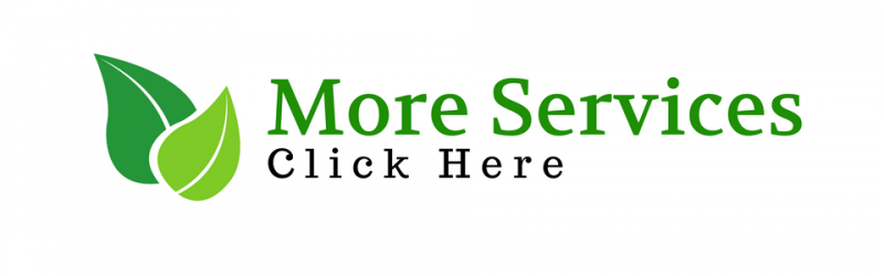 Green leaf icon next to the text