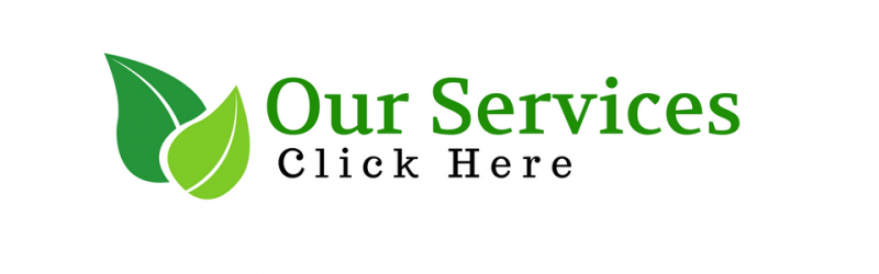 Green leaf icon next to text that reads 