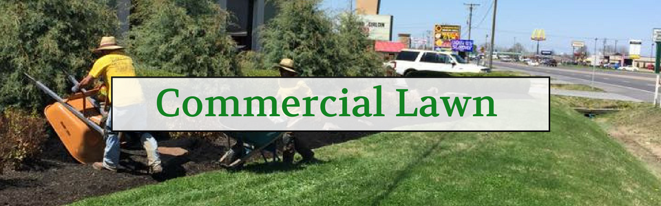 Two workers in yellow shirts use wheelbarrows to maintain landscaping in a commercial lawn area next to a roadside.
